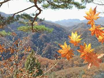 2025新澳最新资料大全与多方回应金雪峰在圣龙潭潜水去世和金雪峰个人资料